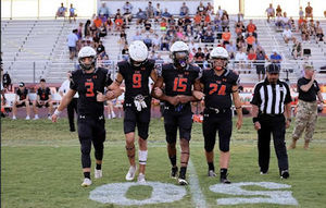 Meet your Posher, Warren